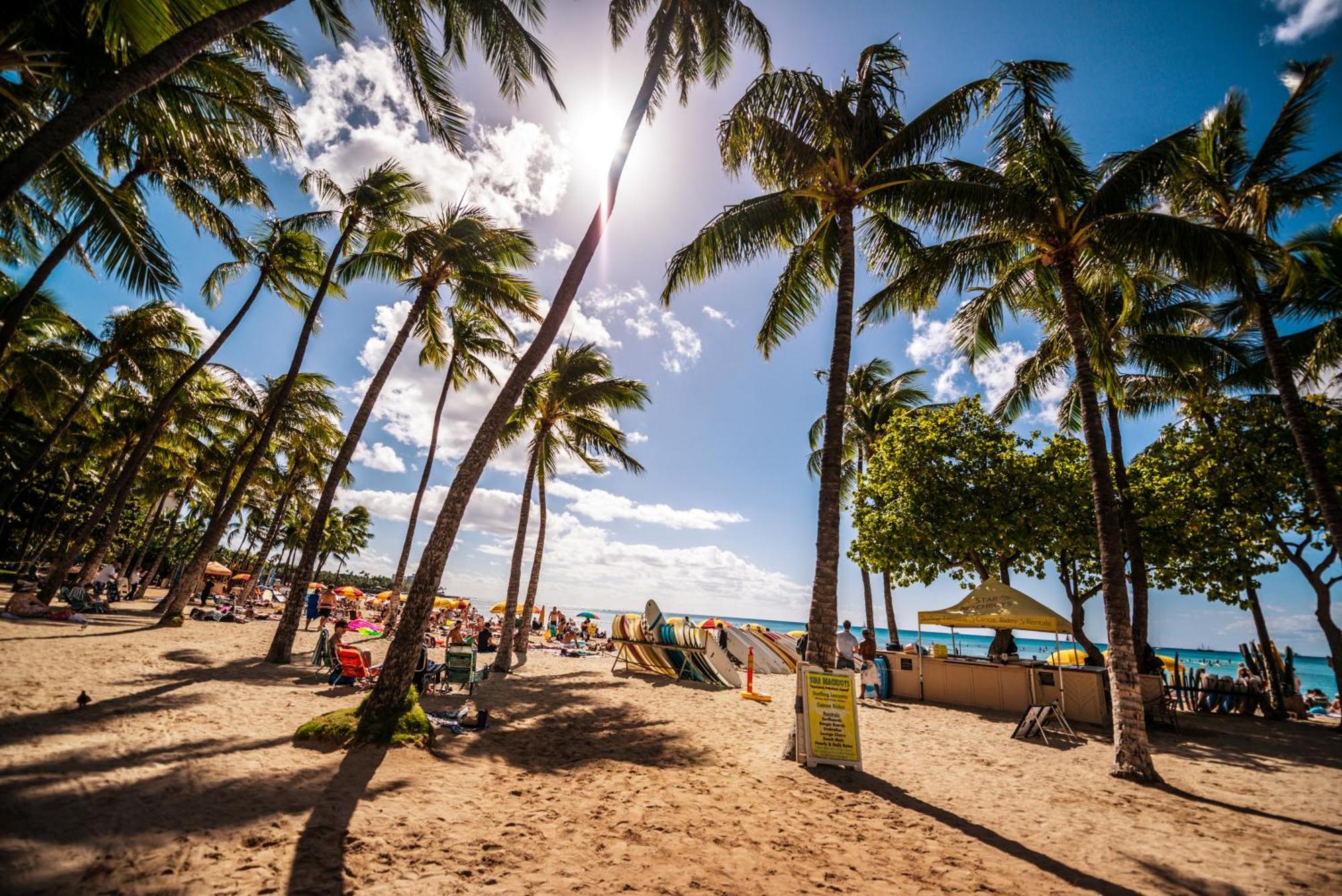 Mountain View Condo Near Beach With Free Parking! Honolulu Luaran gambar