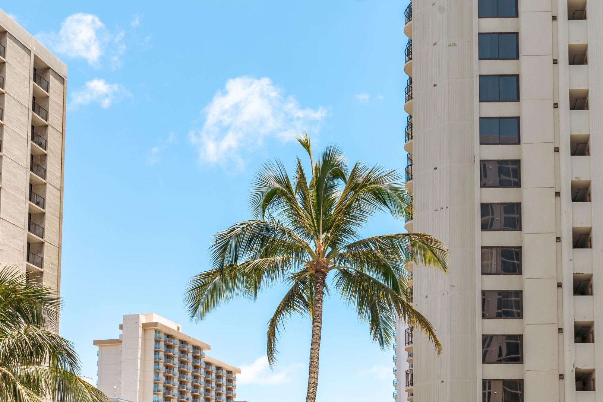 Mountain View Condo Near Beach With Free Parking! Honolulu Luaran gambar